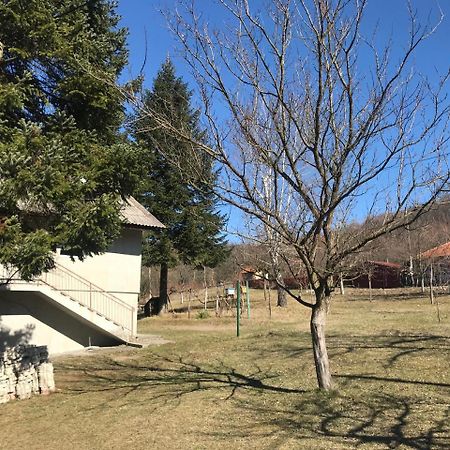 Apartman “Reka Gradac” Valjevo Dış mekan fotoğraf