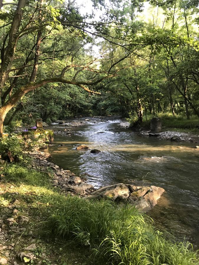 Apartman “Reka Gradac” Valjevo Dış mekan fotoğraf