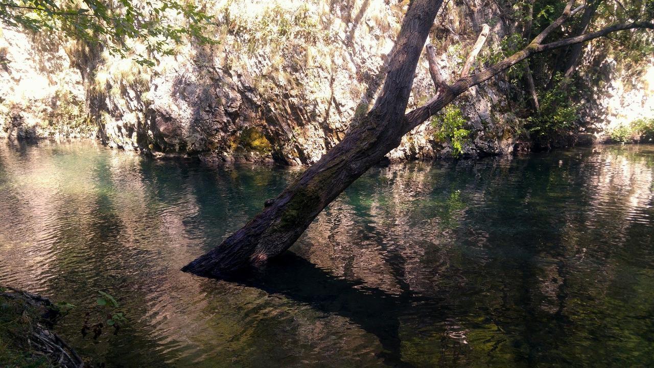 Apartman “Reka Gradac” Valjevo Dış mekan fotoğraf