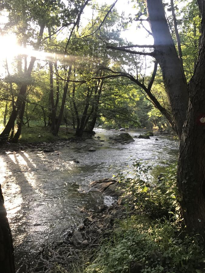 Apartman “Reka Gradac” Valjevo Dış mekan fotoğraf